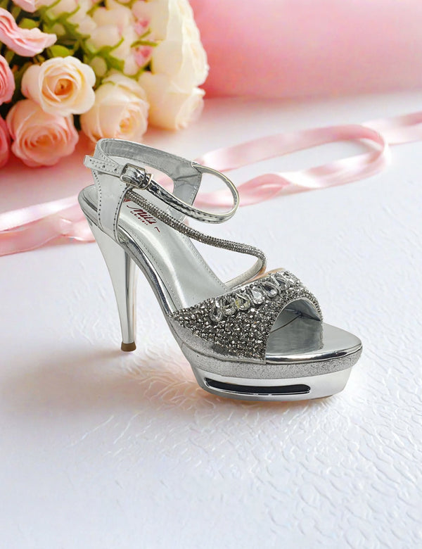 Silver Fancy Slippers