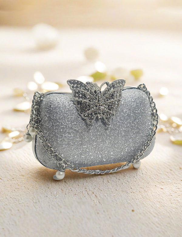Silver Fancy Clutch