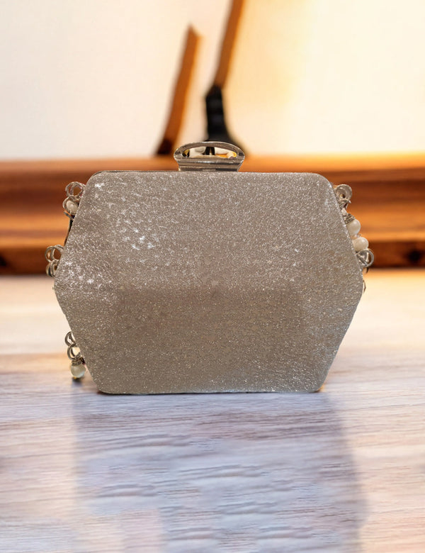 Silver | Fancy Clutch for women