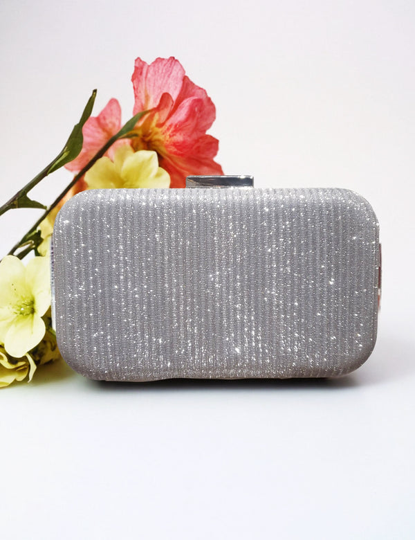 Silver | Fancy Clutch for women