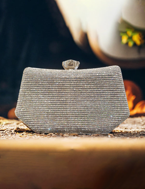 Silver | Fancy Clutch for women