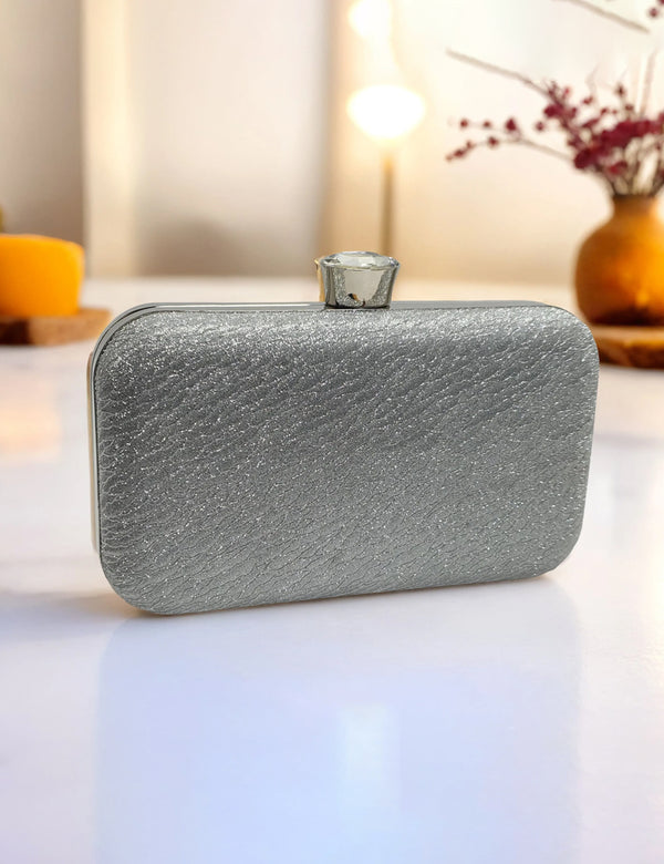 Silver | Fancy Clutch for women