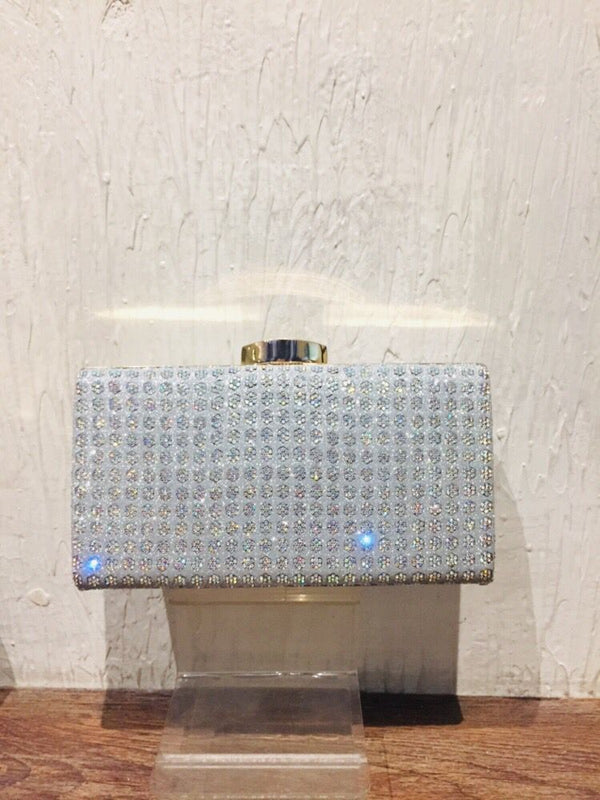 Fancy Clutch for women