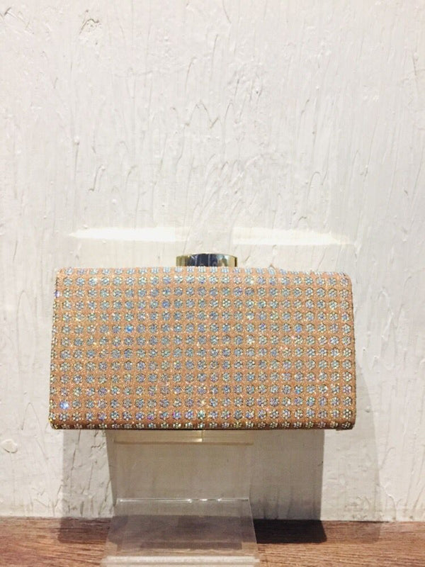 Fancy Clutch for women