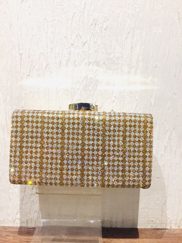 Fancy Clutch for women