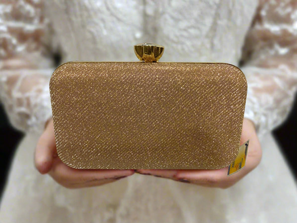 Fancy Clutch for women