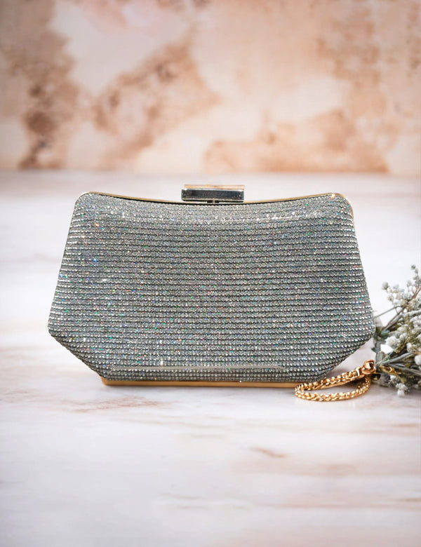 Silver | Fancy Clutch for women