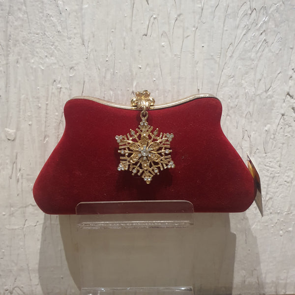 Fancy Clutch for women