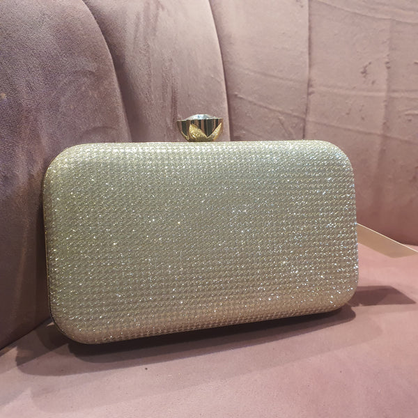 Fancy Clutch for women