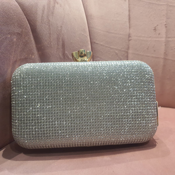 Fancy Clutch for women