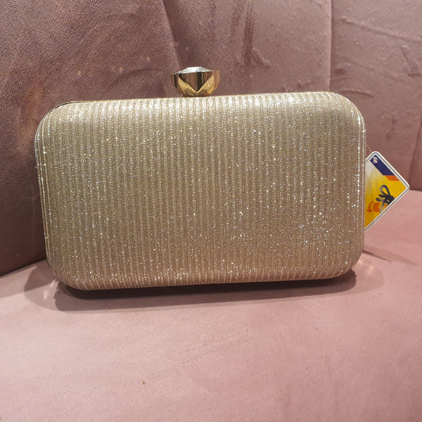 Fancy Clutch for women