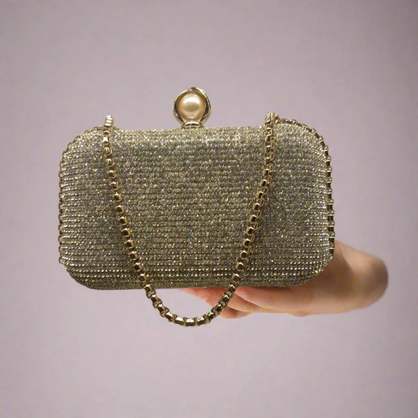 Fancy Clutch for women