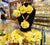 Yellow Mehndi Flower Jewellery Set